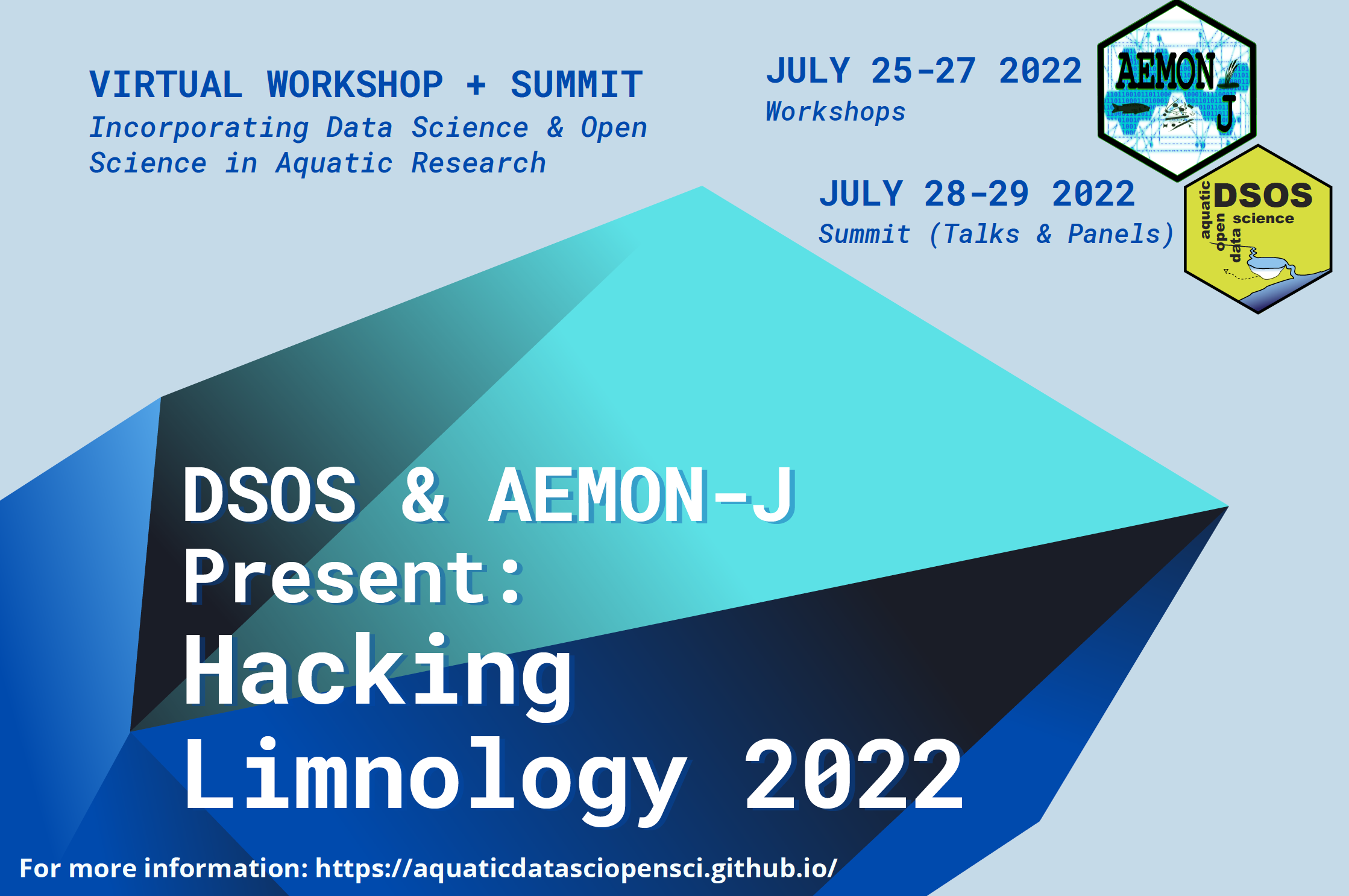 DSOS/AEMON-J virtual summit flyer